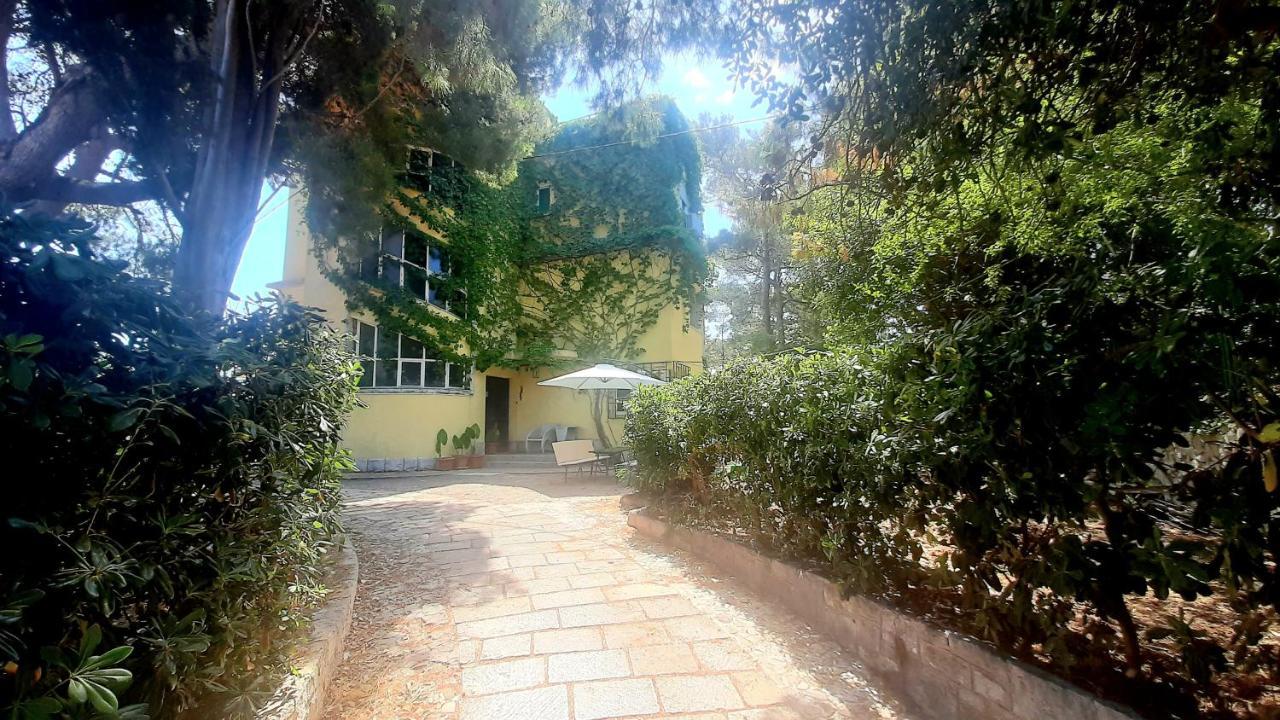 Old Captain'S Apartments - In A Pine Wood By The Sea And Tennis Courts Split Dış mekan fotoğraf