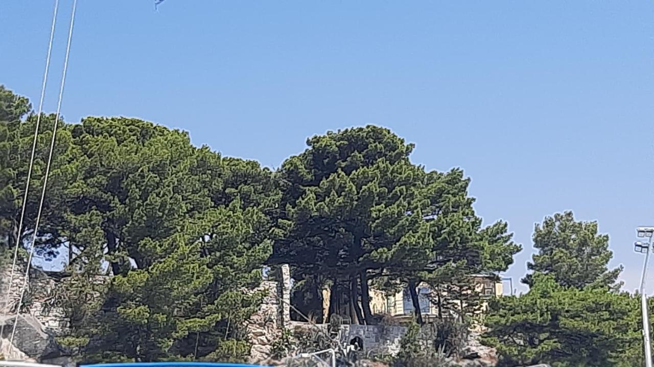 Old Captain'S Apartments - In A Pine Wood By The Sea And Tennis Courts Split Dış mekan fotoğraf