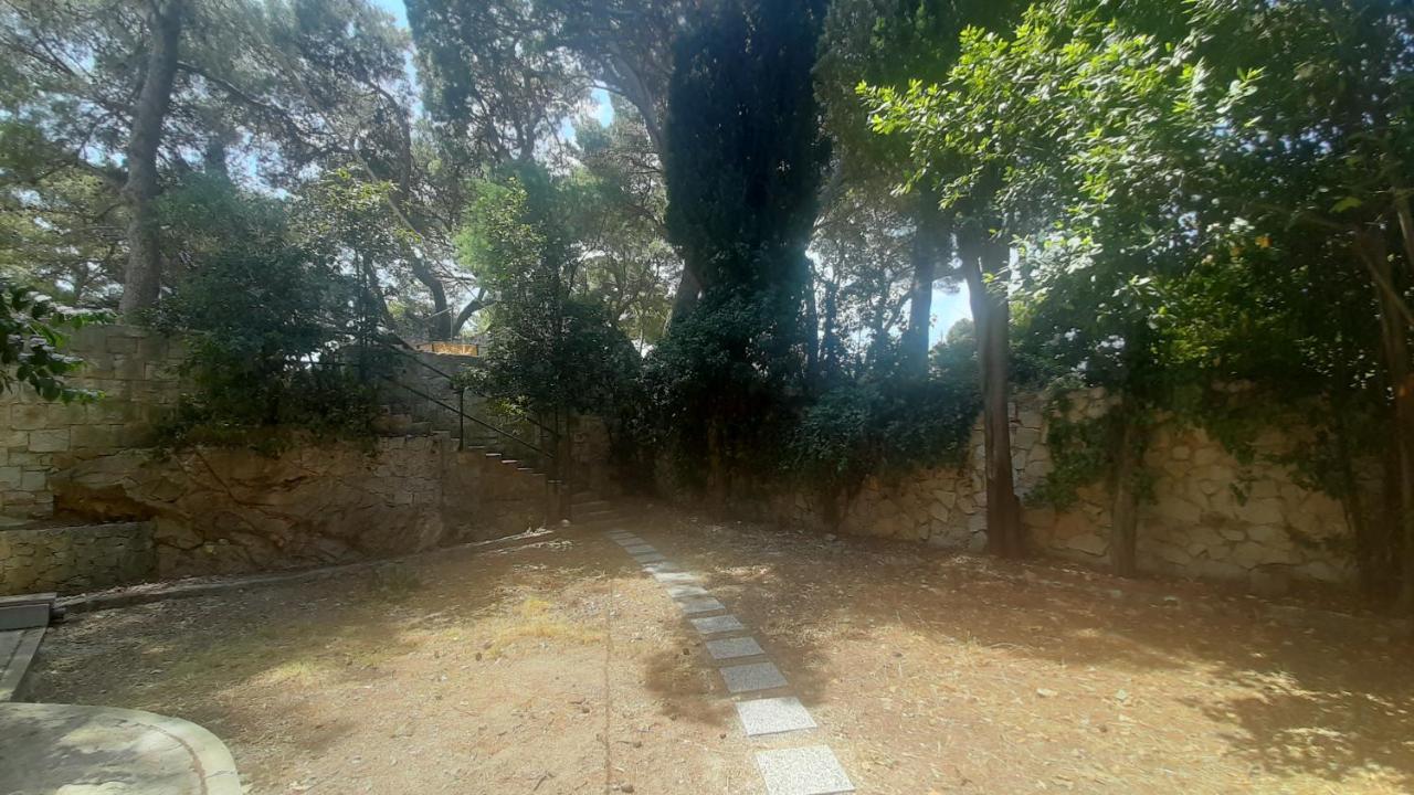 Old Captain'S Apartments - In A Pine Wood By The Sea And Tennis Courts Split Dış mekan fotoğraf